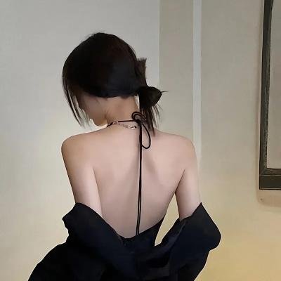 一条狗的回家路